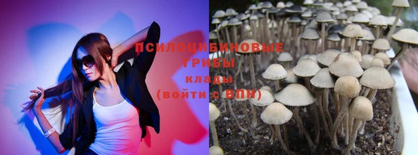 mdpv Пересвет