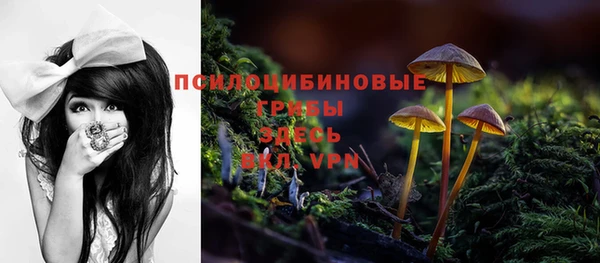 гидропоника Снежинск